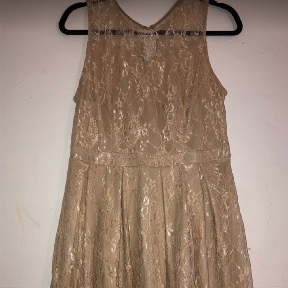 Gardenewed Goldish Creme Classy Lace Dress